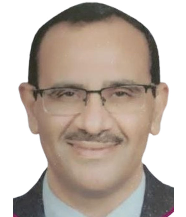 Prof. Balegh Hamdy