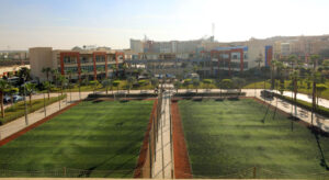 sports-courts-1-thsnnc-act