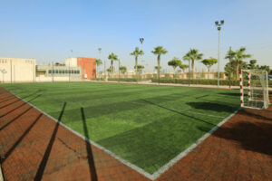 sports-courts-2-thsnnc-act